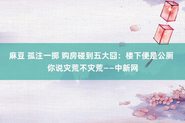 麻豆 孤注一掷 购房碰到五大囧：楼下便是公厕 你说灾荒不灾荒——中新网
